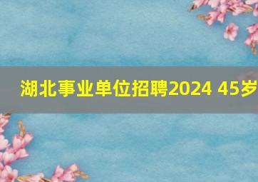 湖北事业单位招聘2024 45岁